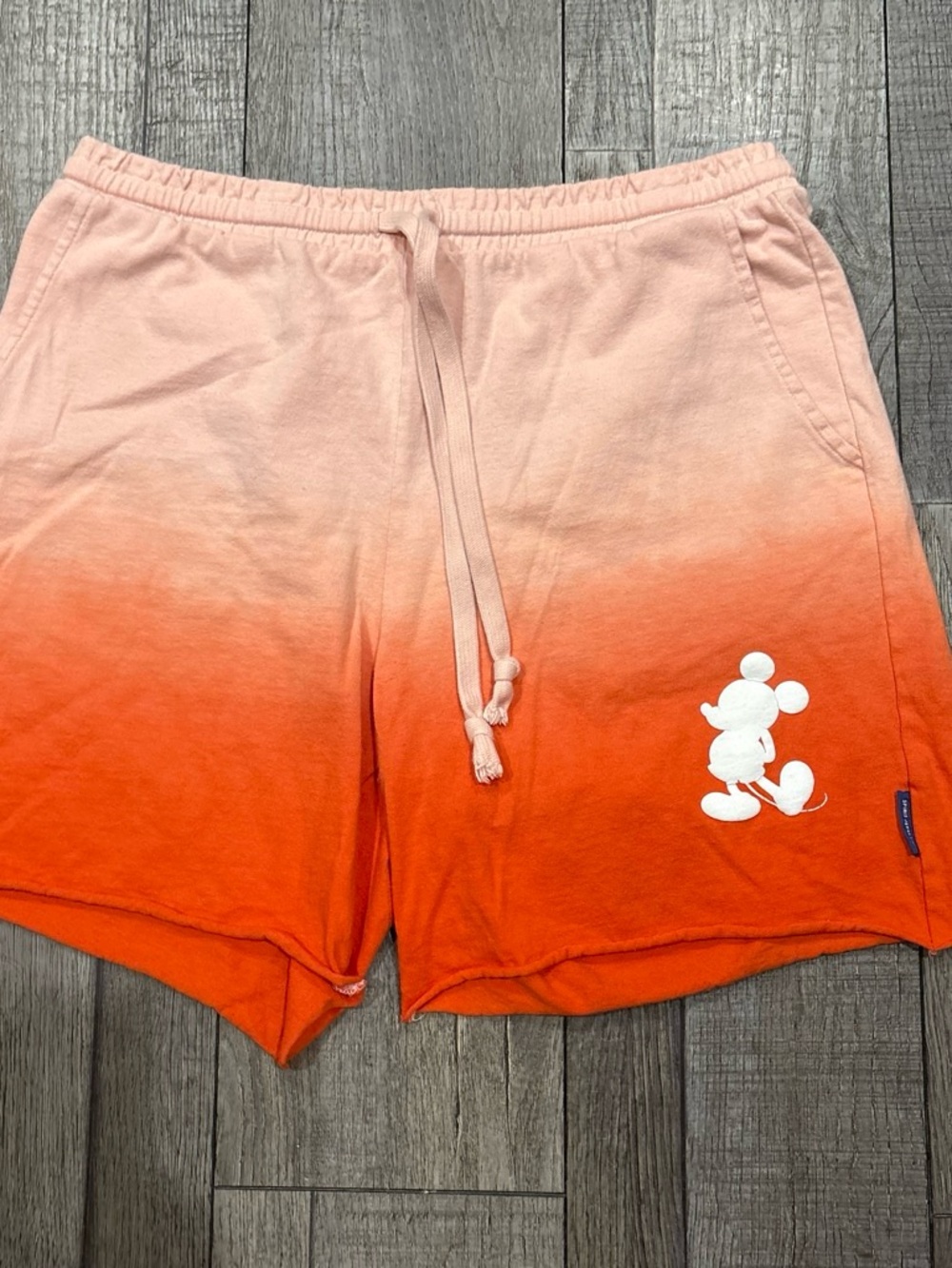 Disney parks spirit jersey Ombre  Shorts with Drawstring